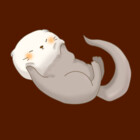 Faq-Qaf