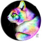 ArcusArtifex