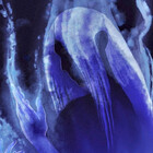 SowingShade