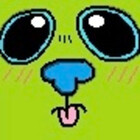 JelllyDog