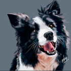 PetPortrait04