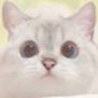 fatty-cat