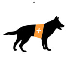 SARK9