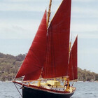 Wilparina
