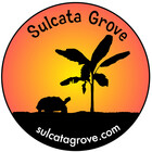 Sulcatagrove