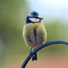 MlMalcolm-Photo