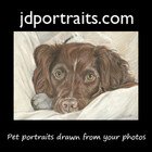 jdportraits
