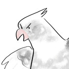 pipertiel