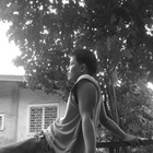 dryleaves