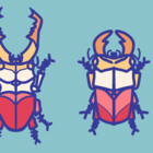 atlasbeetles