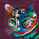 krazykat