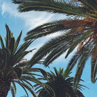 Mohamed123987