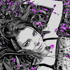 edithb