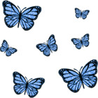 lehuuv