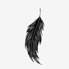 Thefeathers