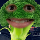 dsrowan