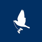 McDove