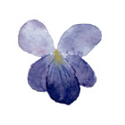 BEFAHRS