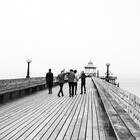 Lily-njh