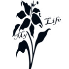 Foxyhassan321