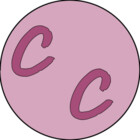 ARacelicrafts