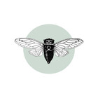 cicadashoppe