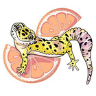 InkedMongoose
