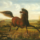 HorseGirlRescue