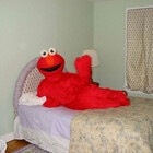 Sebastian213