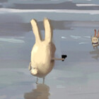 fluffy-rabbid