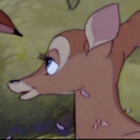 deerynoise