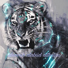 abwjwdy12