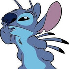 Experiment626
