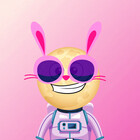 coolmoonnft