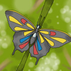 SetJay