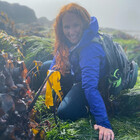 IntertidalSiren