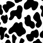 tajaneatw0616