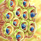 ArtFelisalia