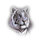 lonetiger1