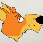 SteelyDog