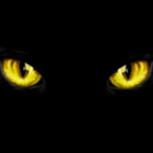 Yellow-Eyes