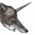 terradehart