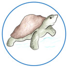 Little-Creator