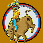 NicElectric