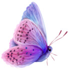 naturehikers