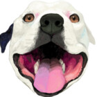 riomijal