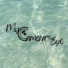 My-Cameras-Eye