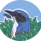 shrub-jay
