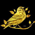 Sparrow-fashion
