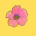 simonayoshida